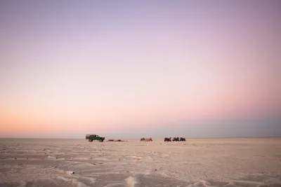 Botswana wild